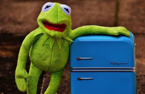 Kermit and the refrigerator
